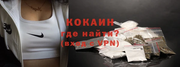 дживик Арсеньев