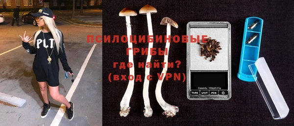 крисы Зерноград